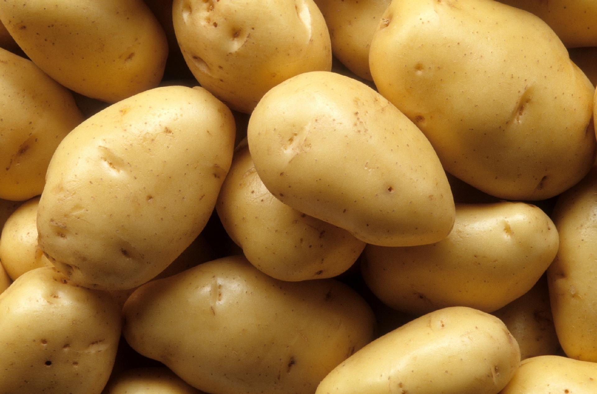 Batatas frescas