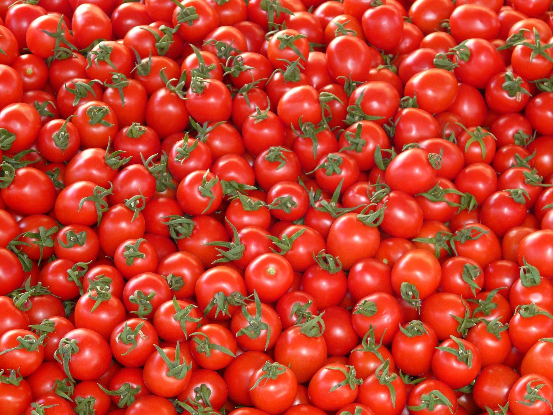 Legumes