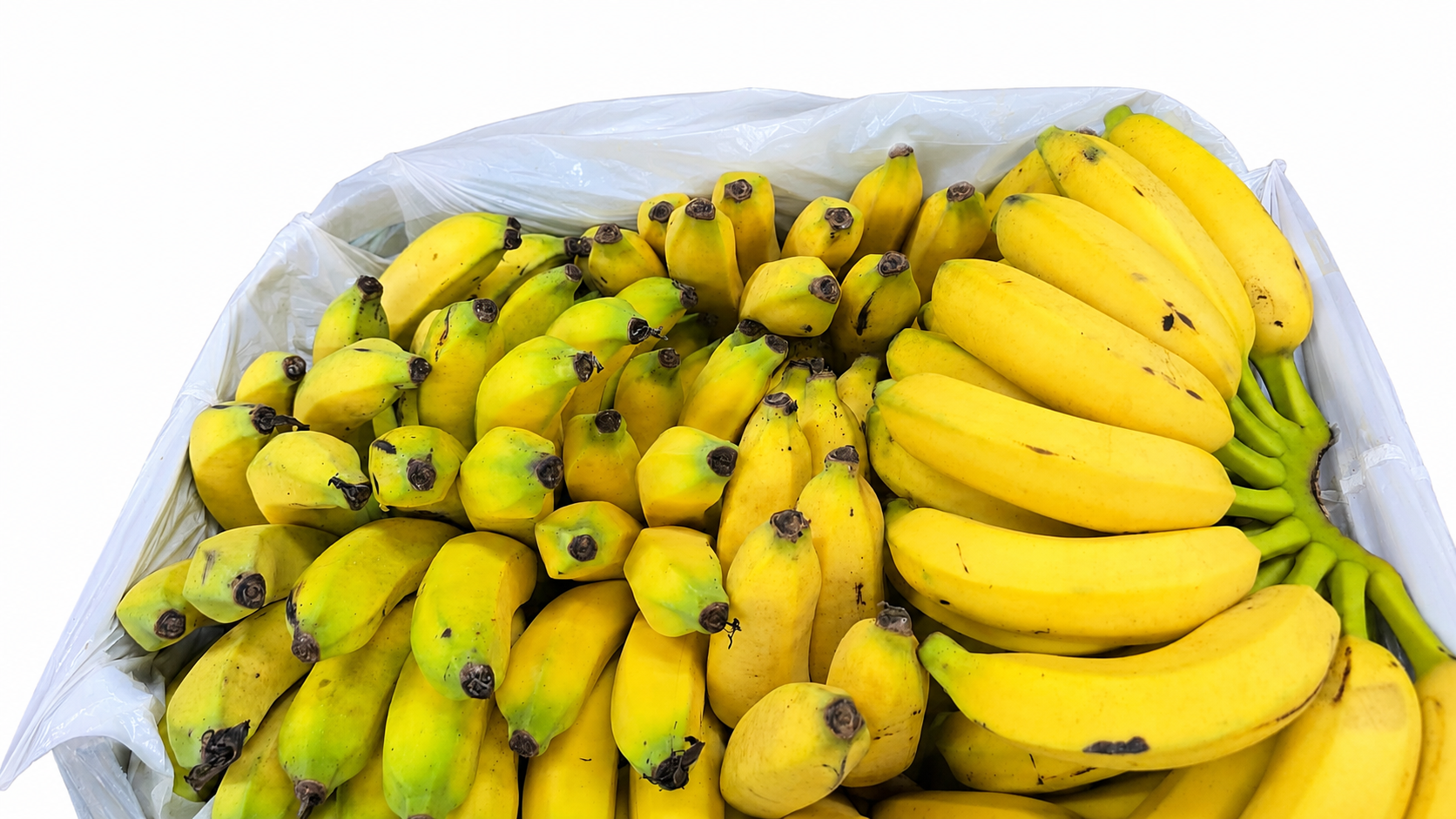 Banana Iberfrut